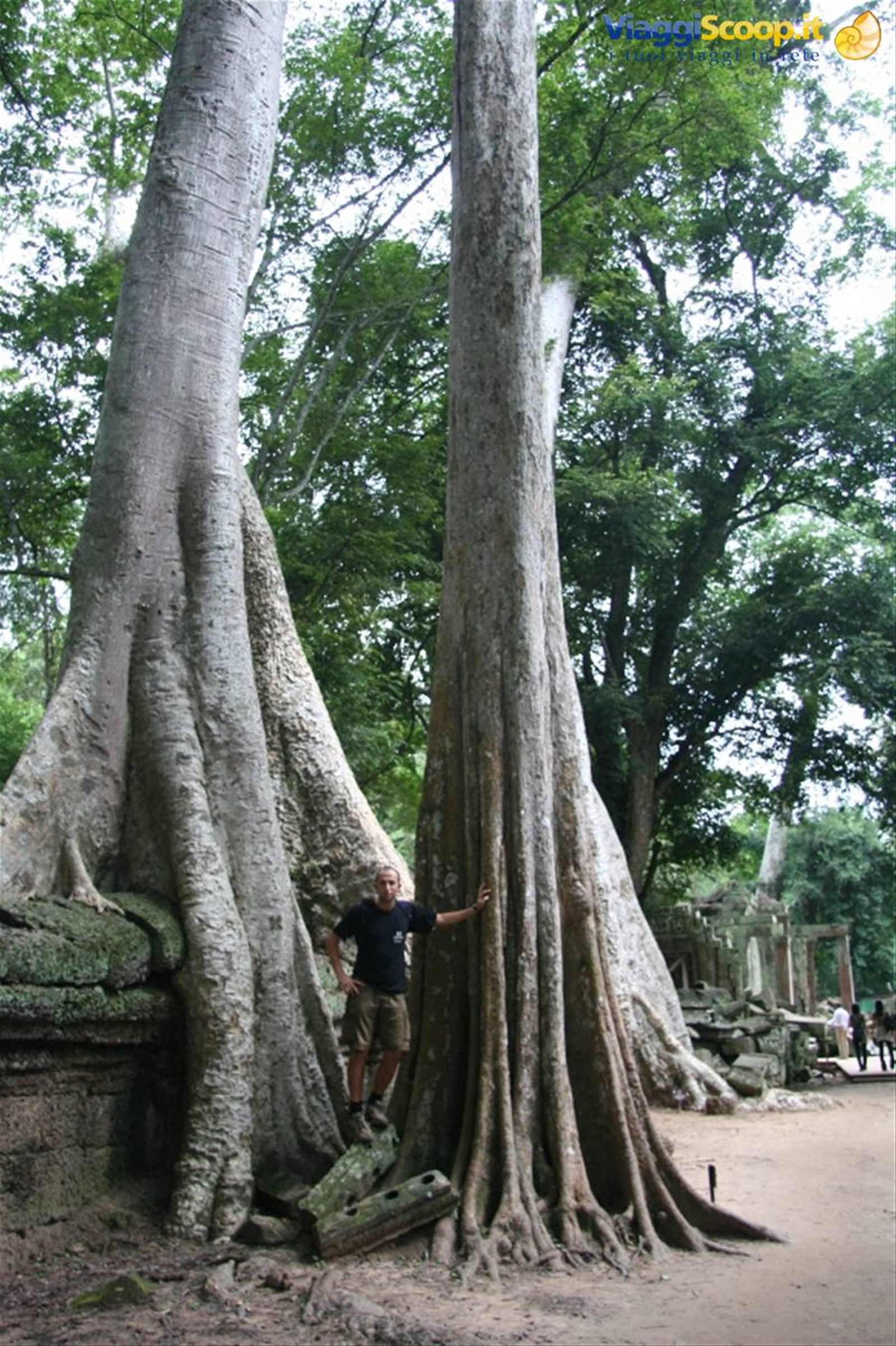 Foto di viaggio in CAMBOGIA