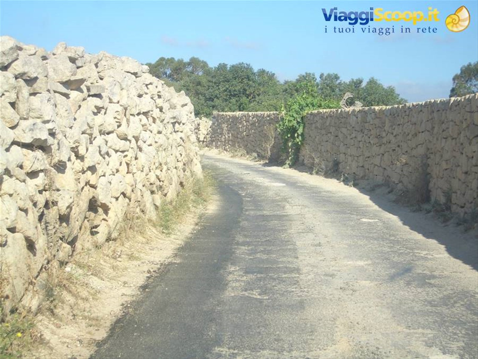 Strade di campagna