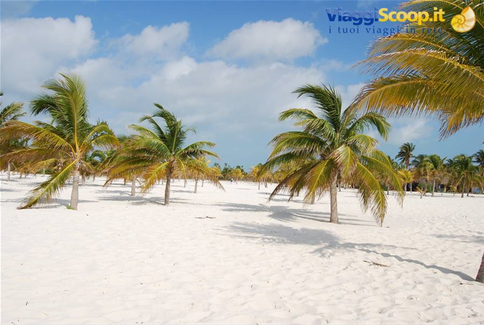 Foto di viaggio in CUBA