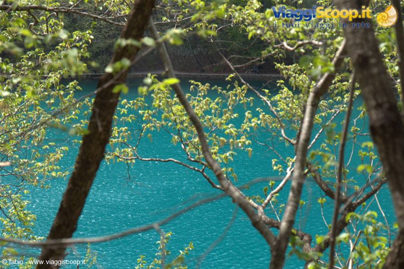 poesia nel lago foglie primaverili