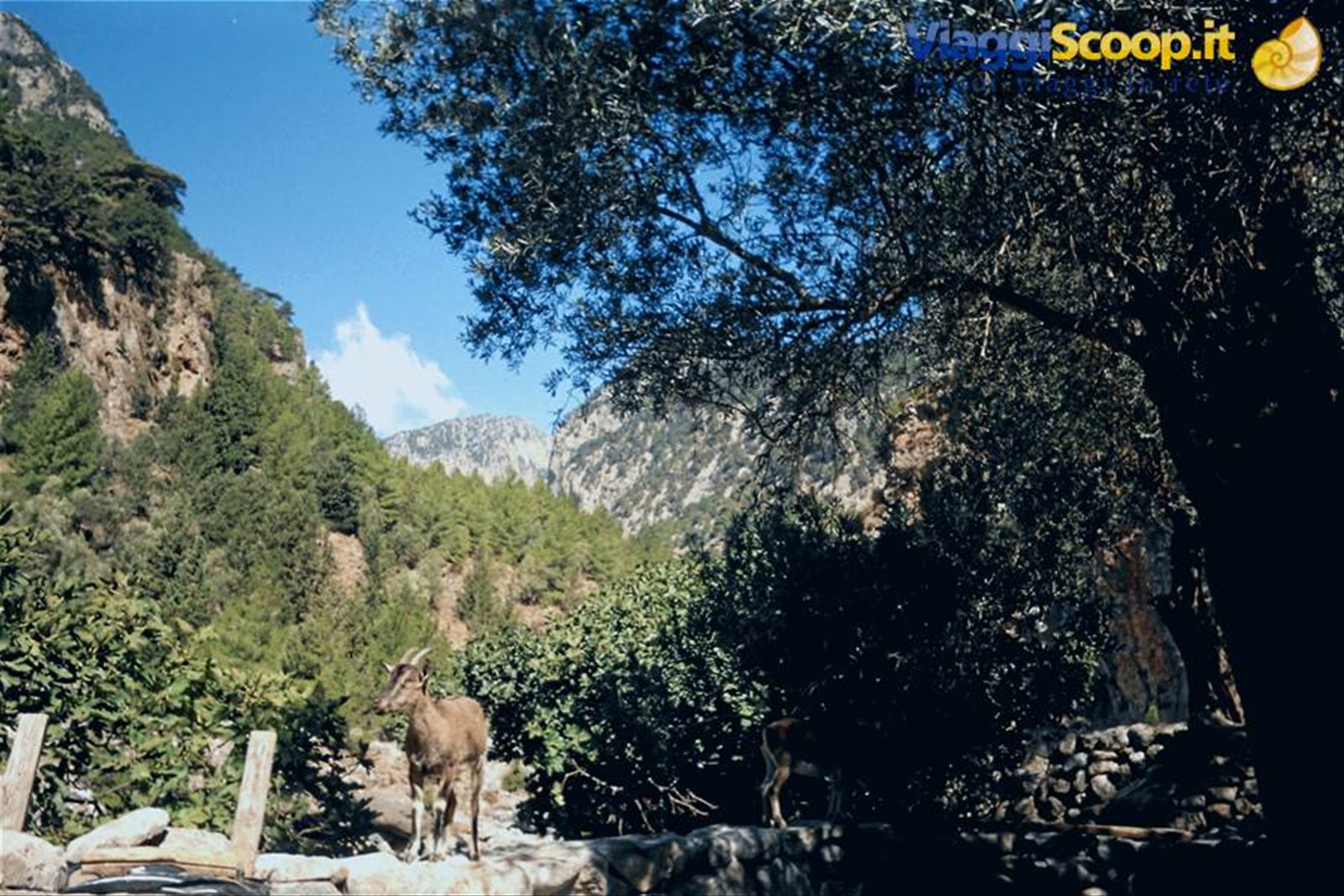 Foto di viaggio in GRECIA
