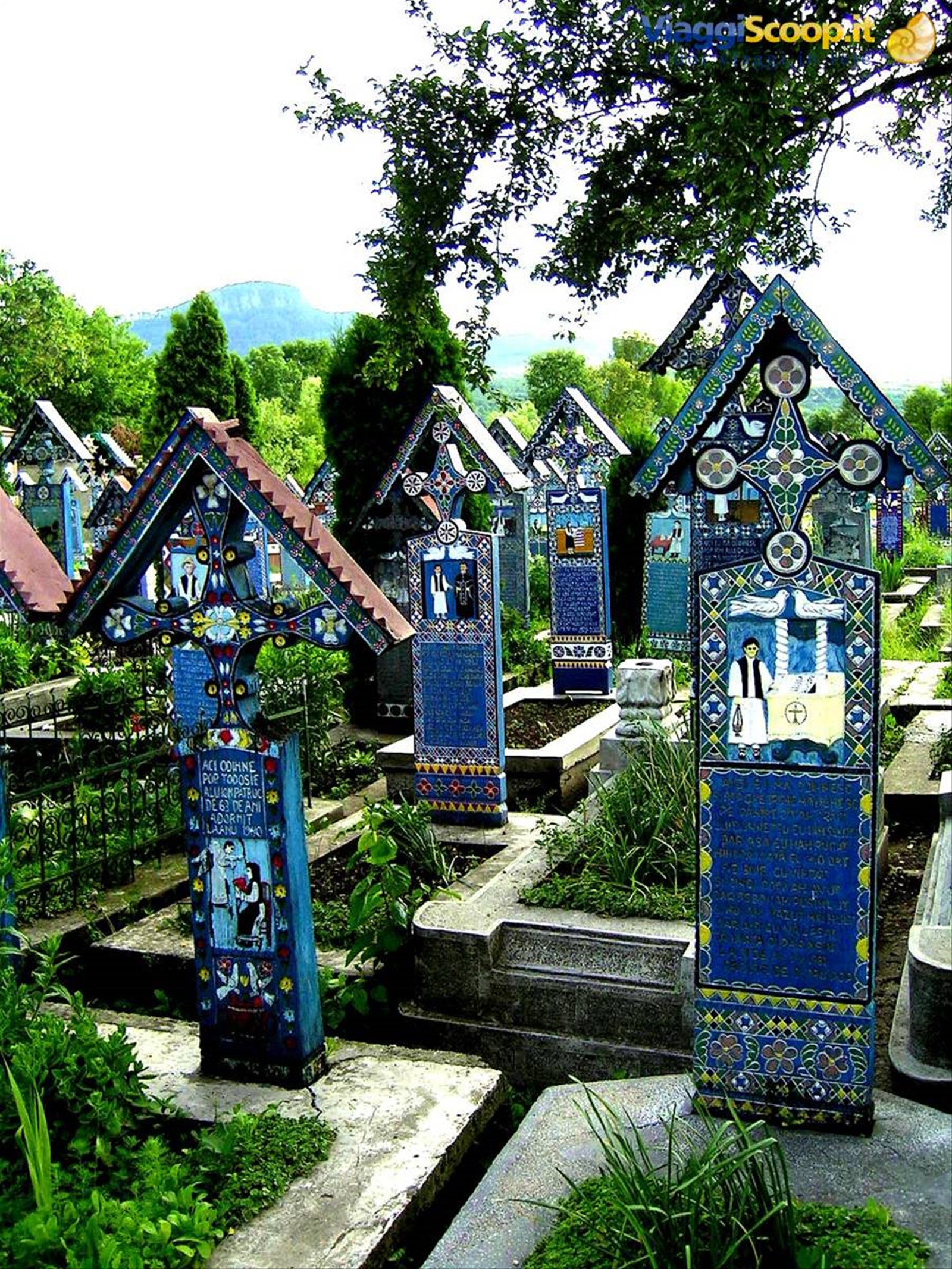 Sapinta il cimitero allegro