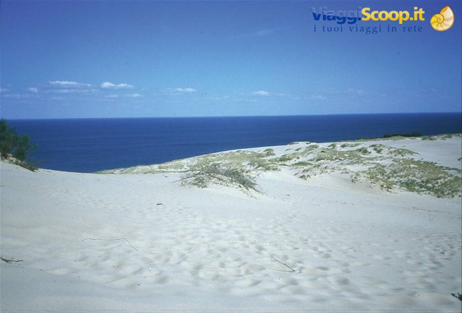 le dune della Penisola di Neringa