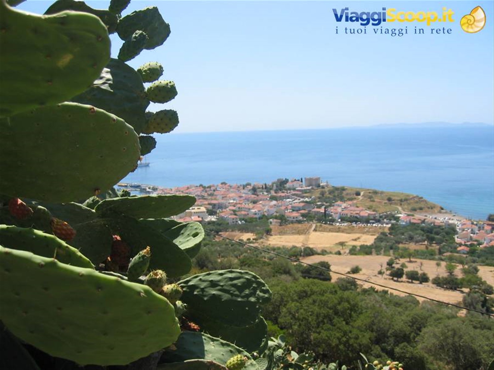 Foto di viaggio in GRECIA