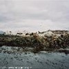 foto viaggio ARGENTINA