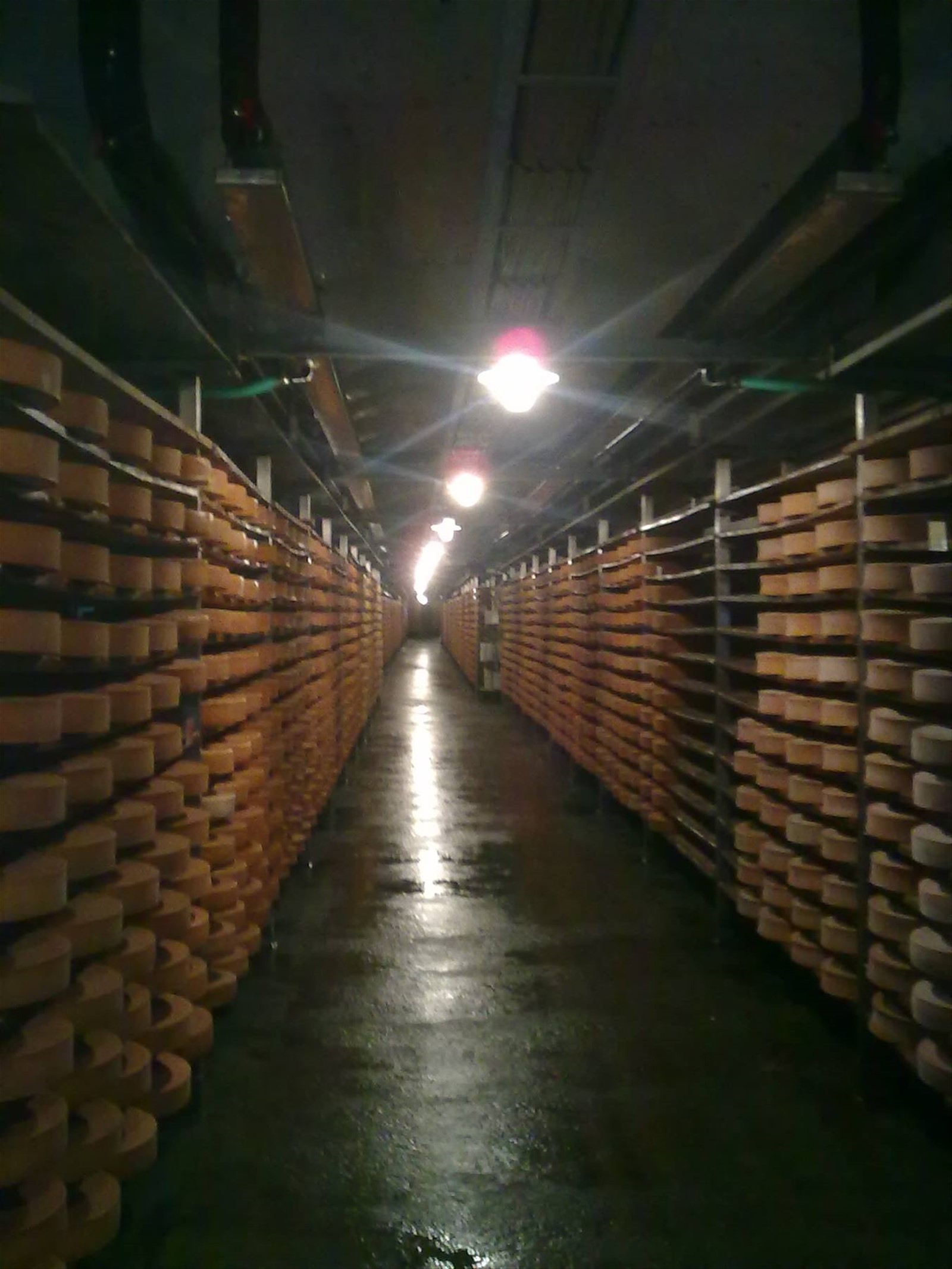 grotta stagionatura fontina