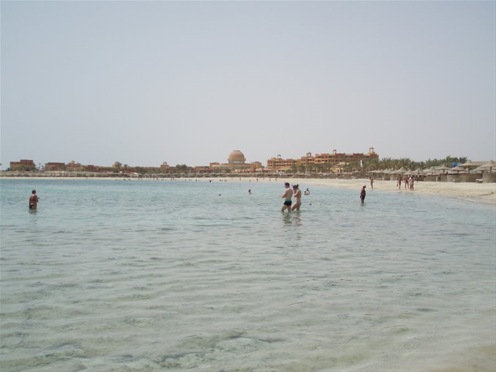 abu dabbab