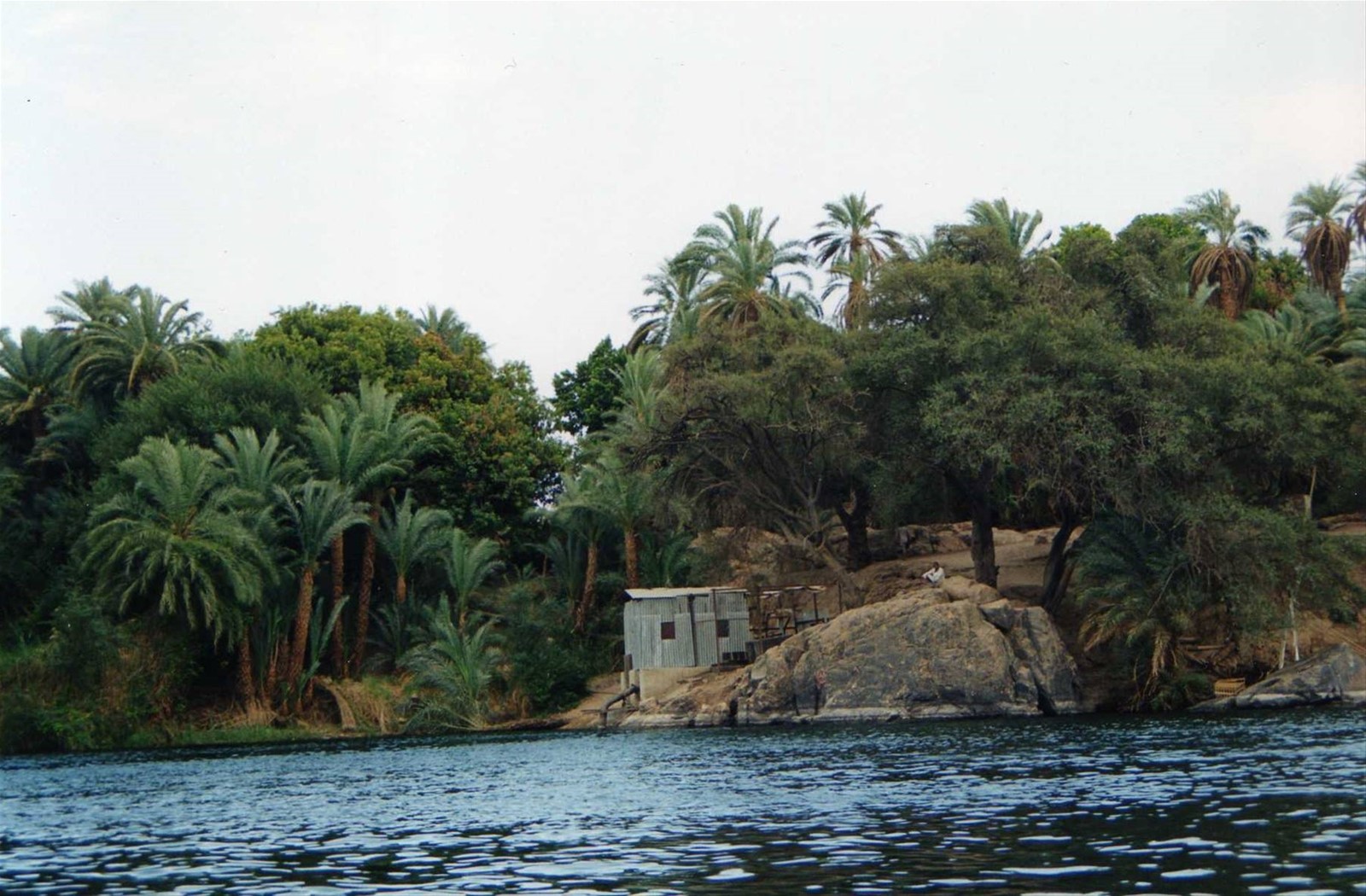 nilo verde