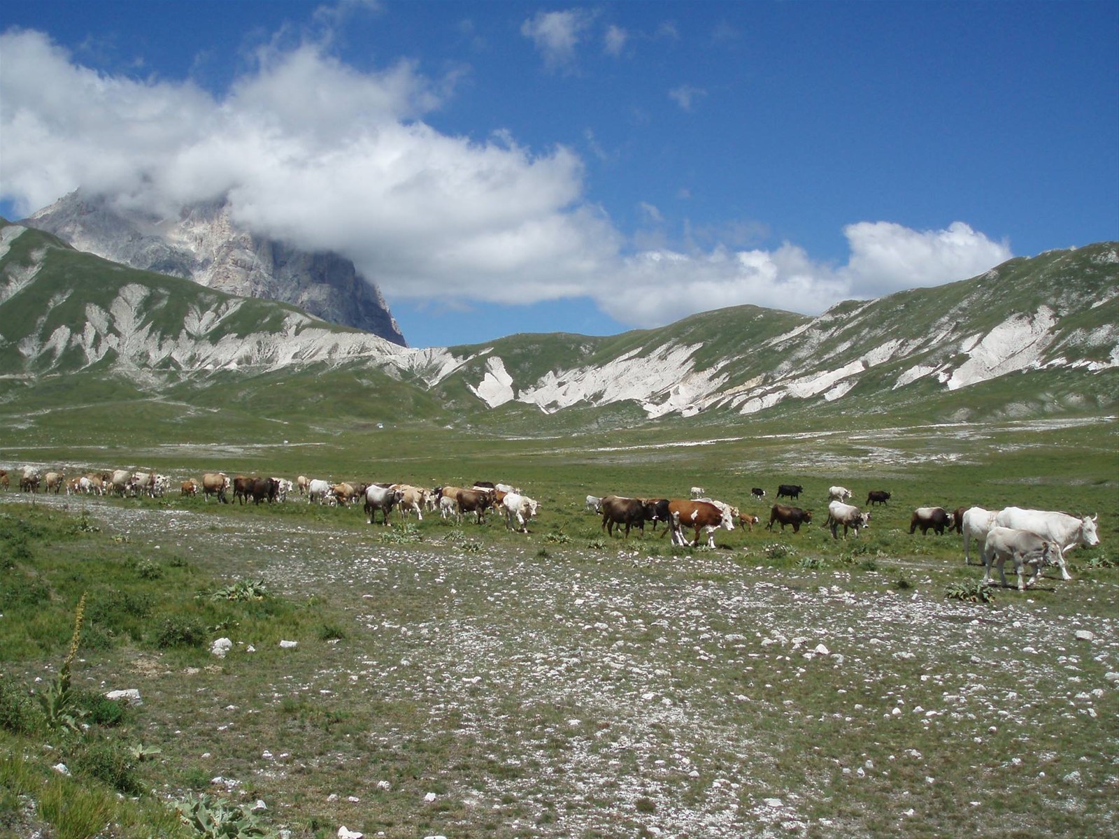 campo imperatore