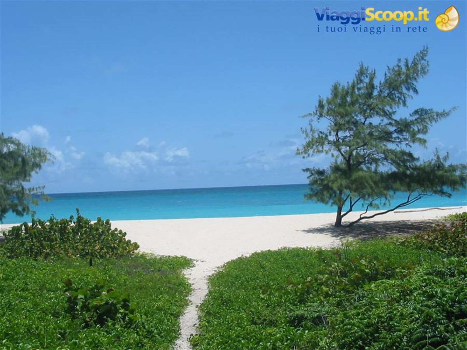 Foto di viaggio in BARBADOS