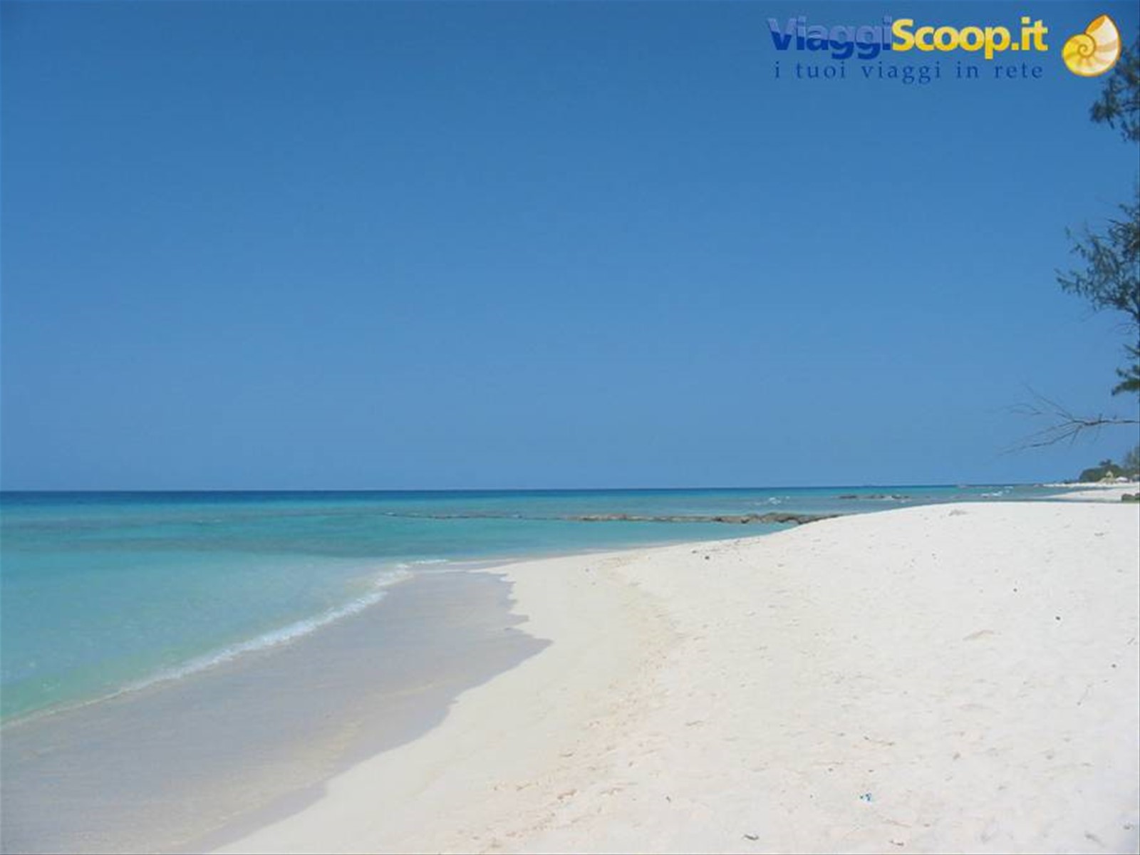 Foto di viaggio in BARBADOS