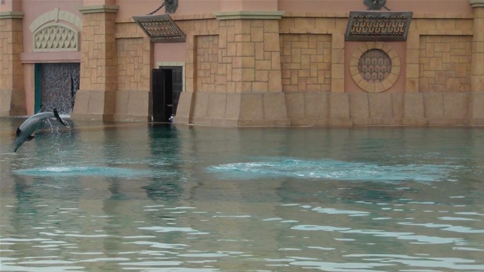 Dolphin Bay