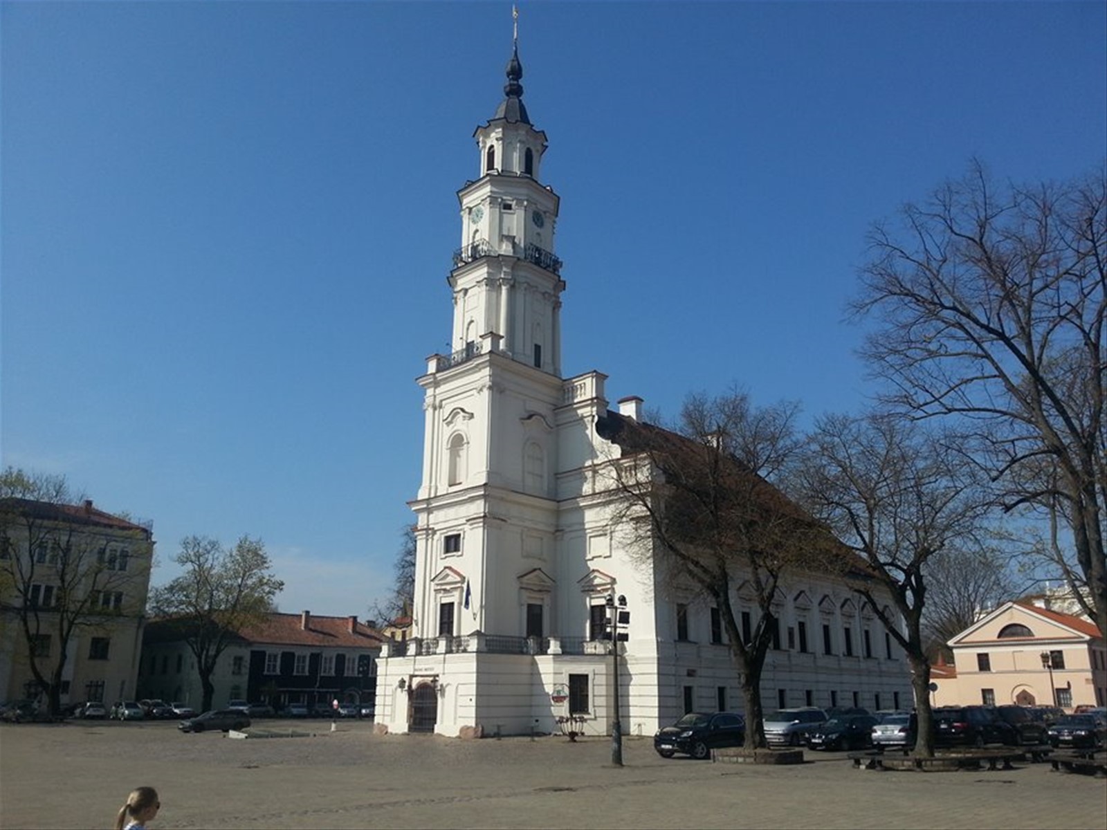 Il cigno bianco (Municipio di Kaunas)