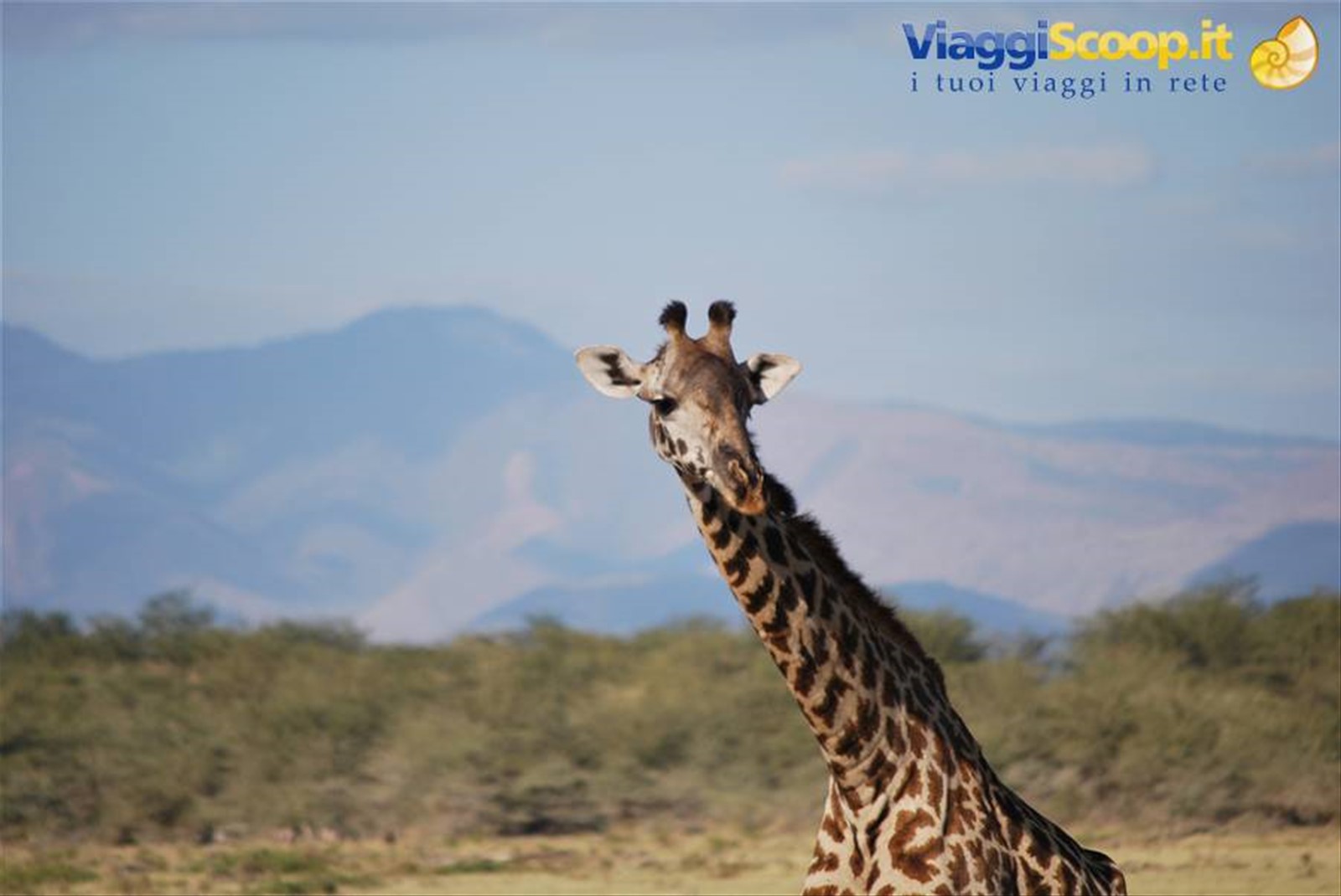 lake manyara