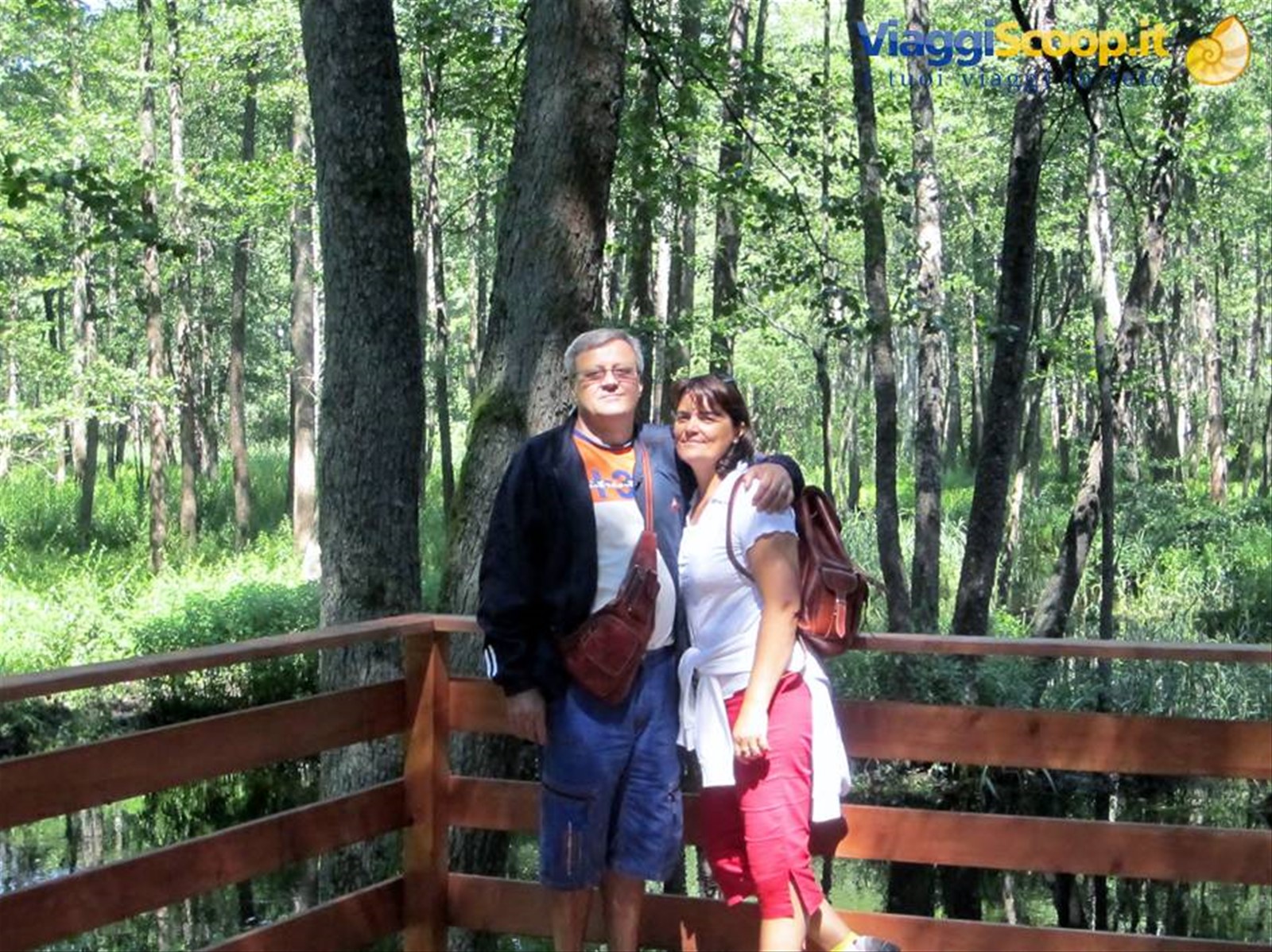 TRA LE QUERCE