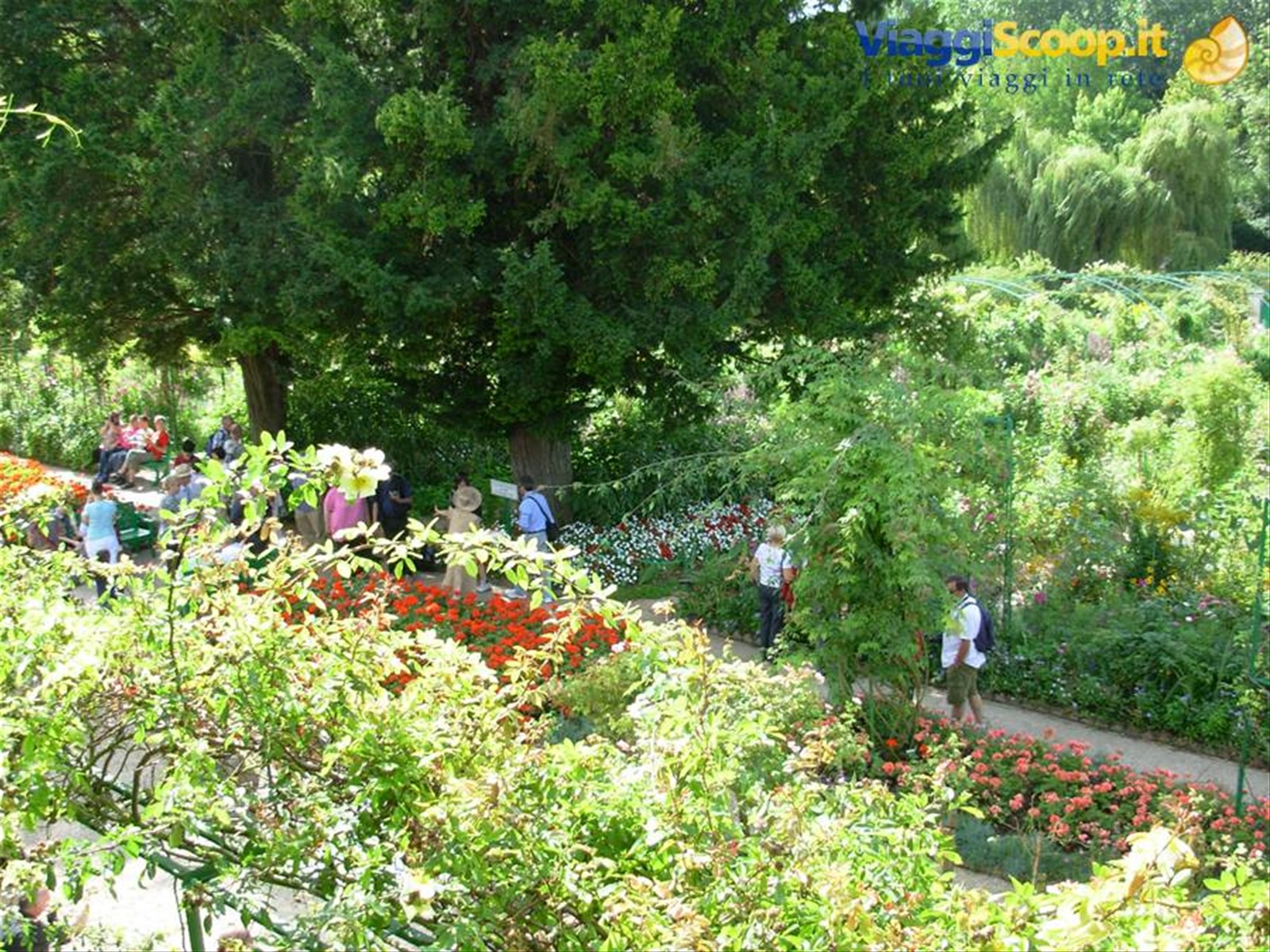 casa monet