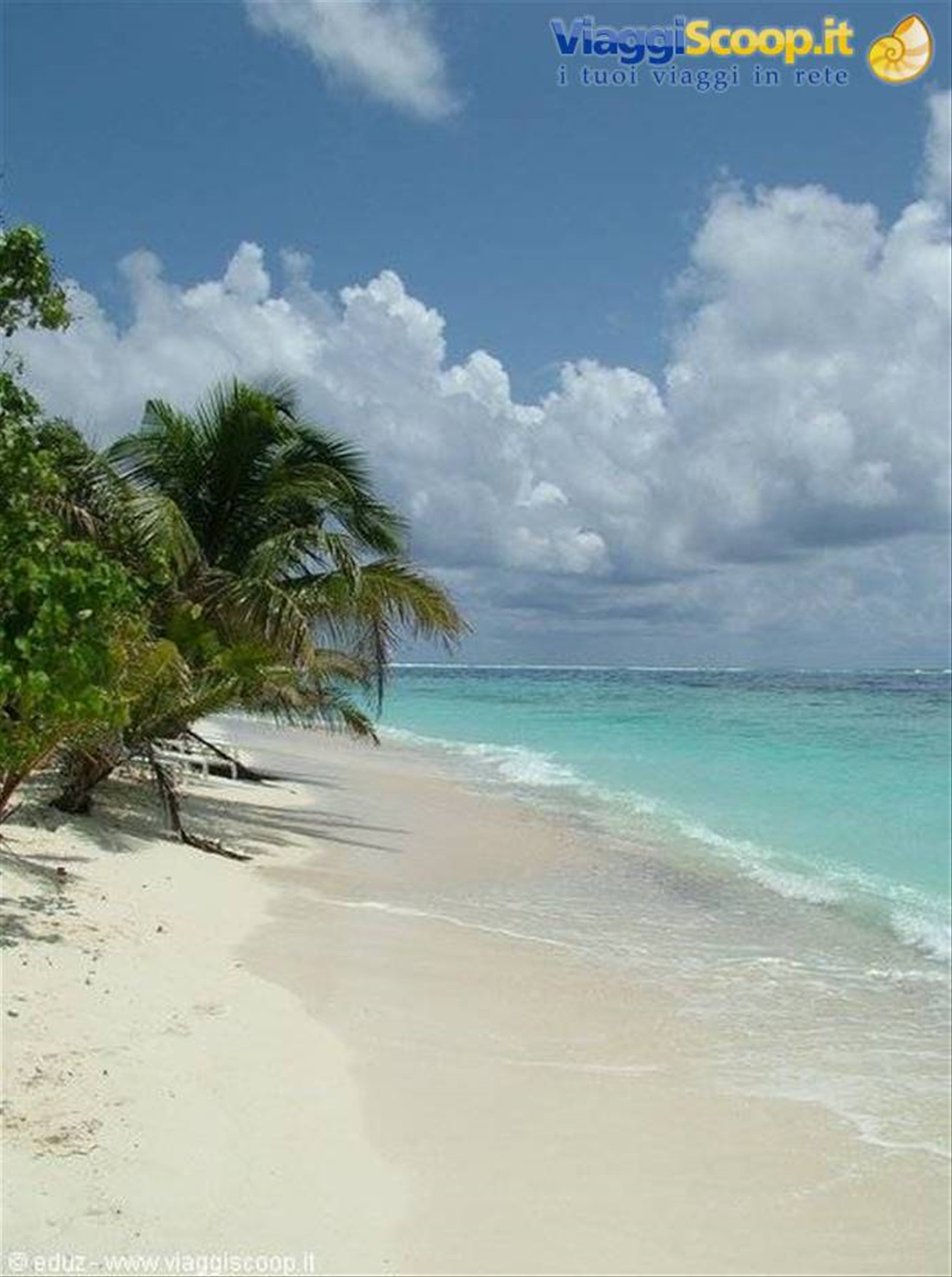Foto di viaggio in MALDIVE