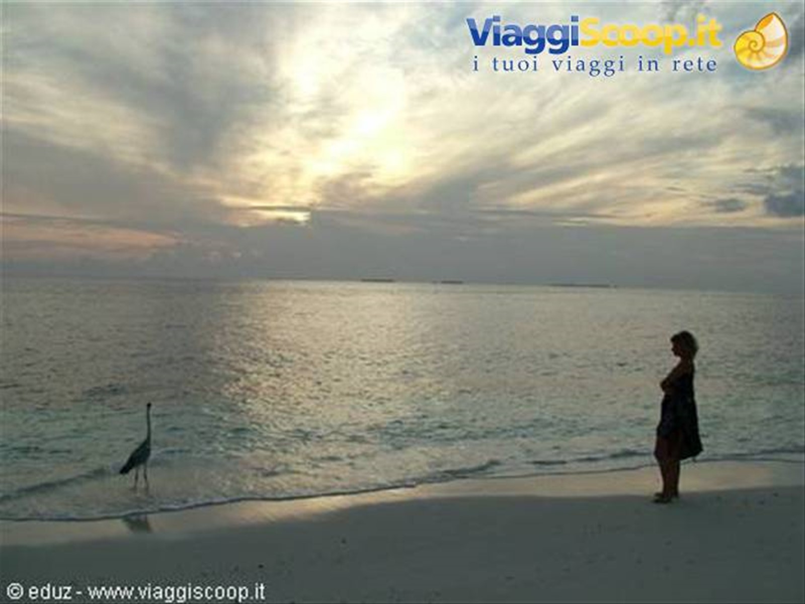 Foto di viaggio in MALDIVE
