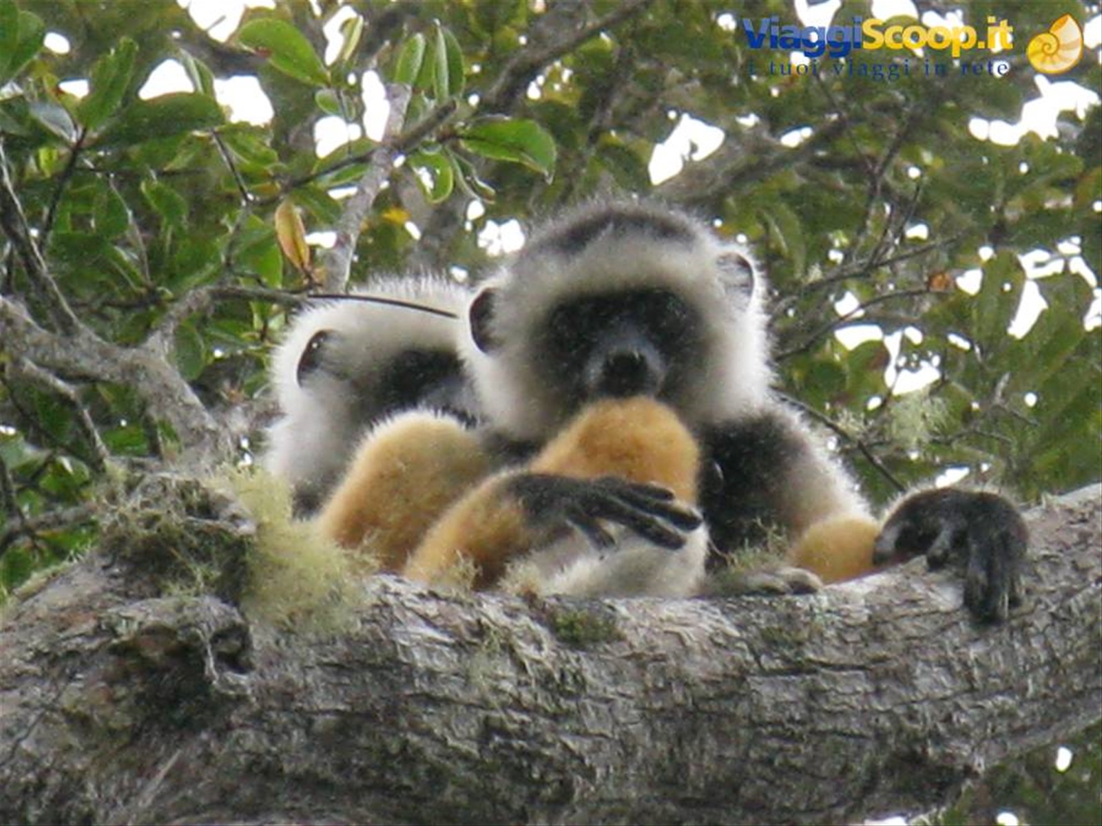 Foto di viaggio in MADAGASCAR
