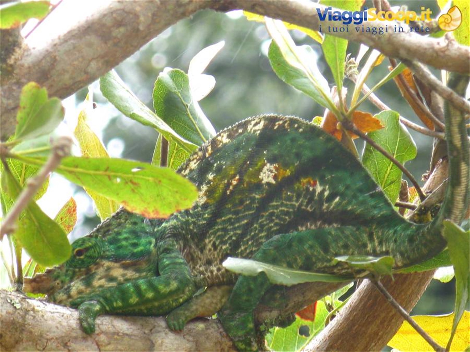Foto di viaggio in MADAGASCAR