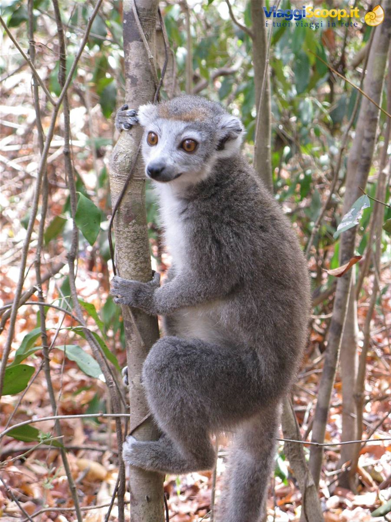 Foto di viaggio in MADAGASCAR
