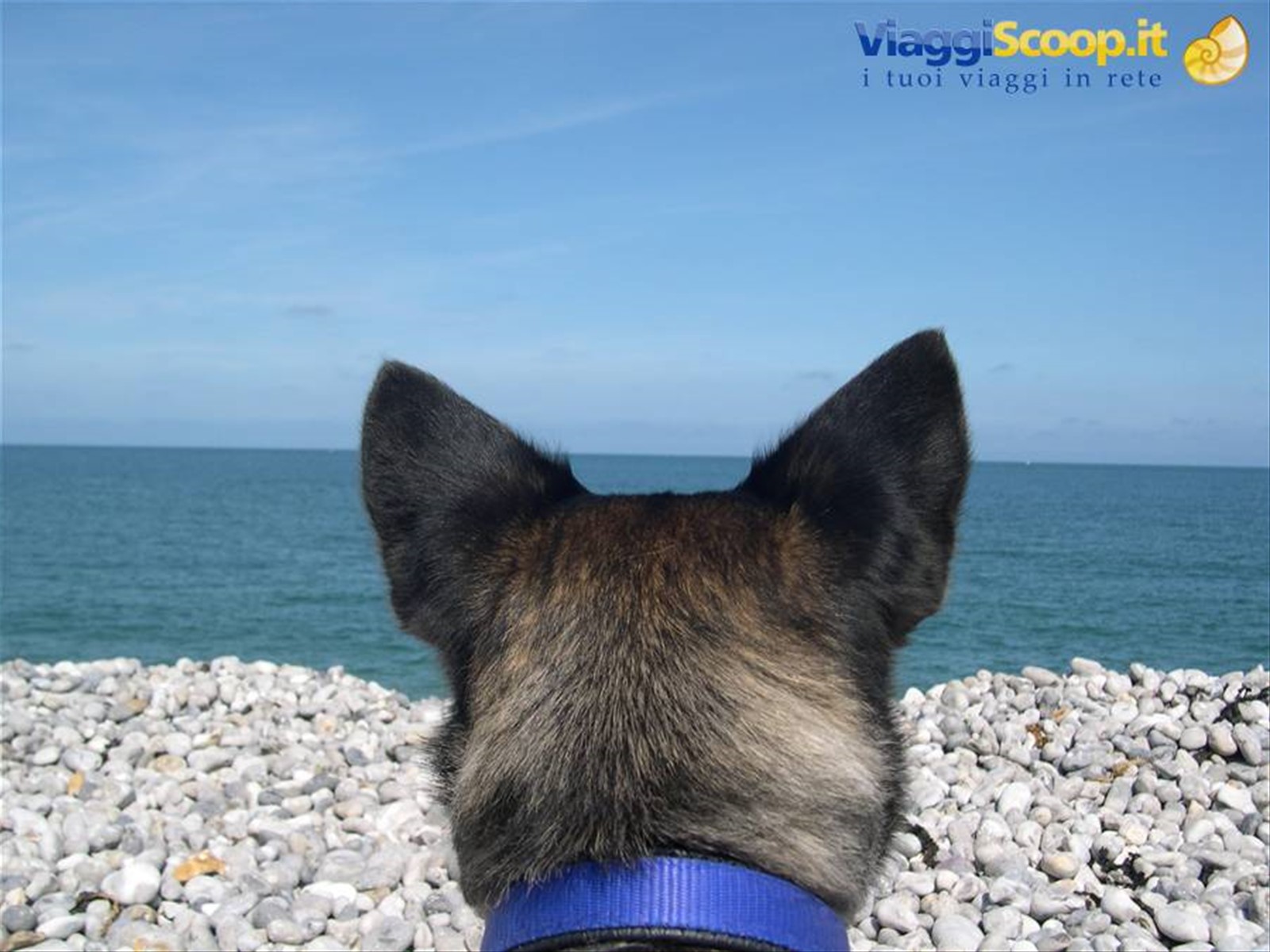 LUCKY IN FRANCIA SULLA SPIAGGIA DI FECAMP ! ! ! (ALTA NORMANDIA)