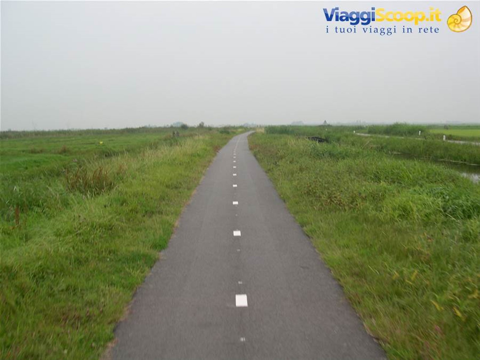 Foto di viaggio in OLANDA