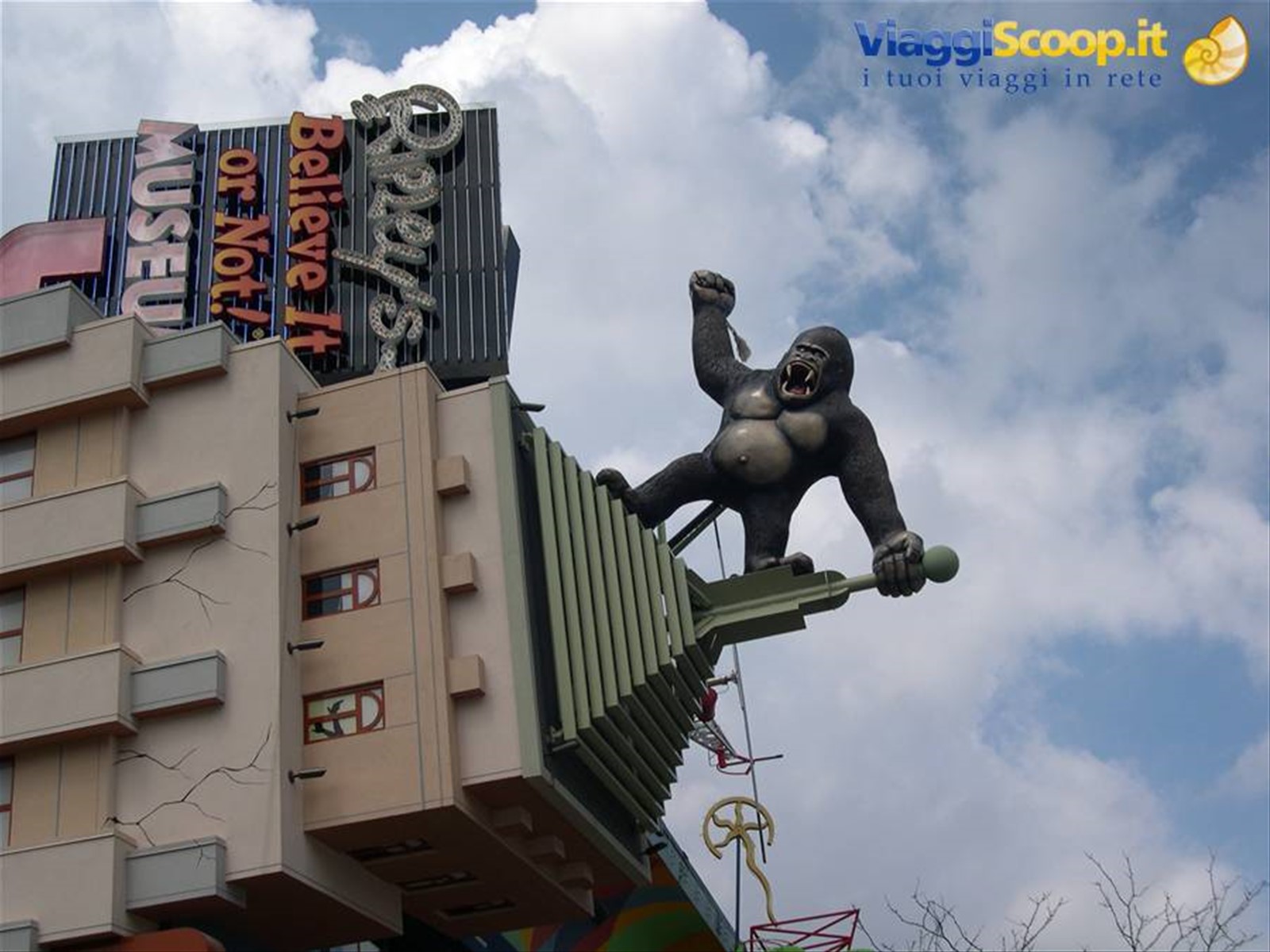 KING KONG CANADESE . . .