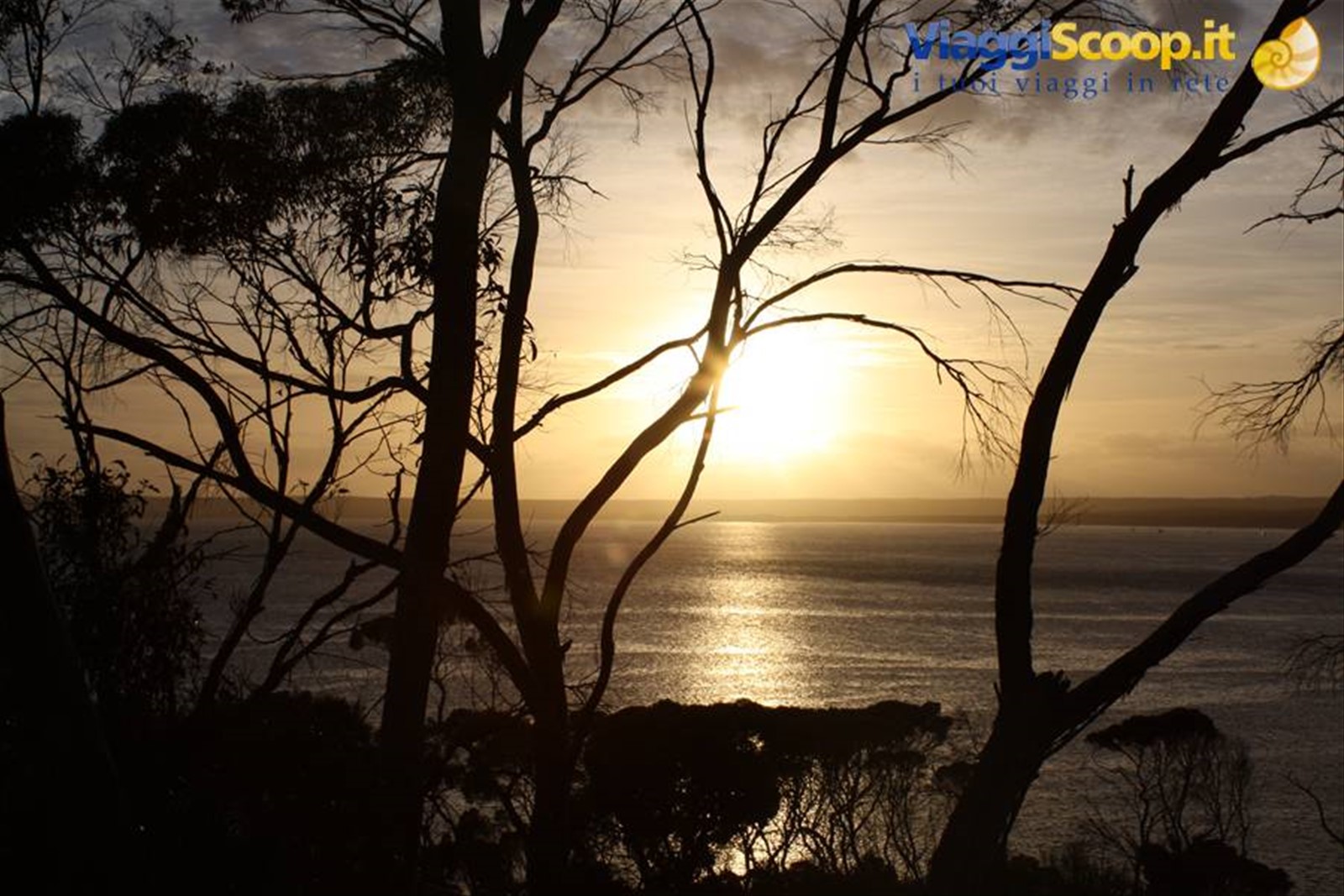 Kangaroo Island - Alba