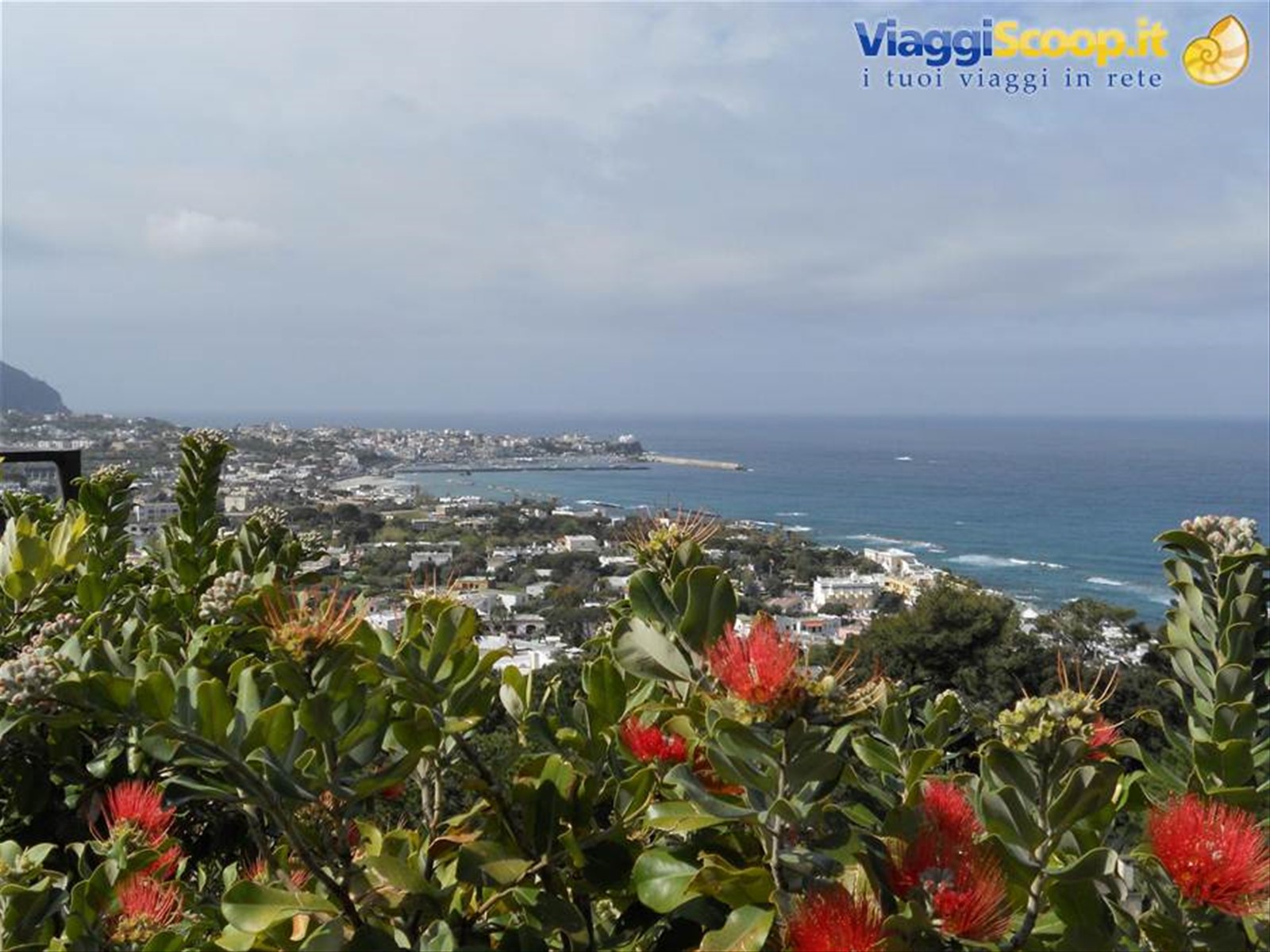 FORIO D'ISCHIA