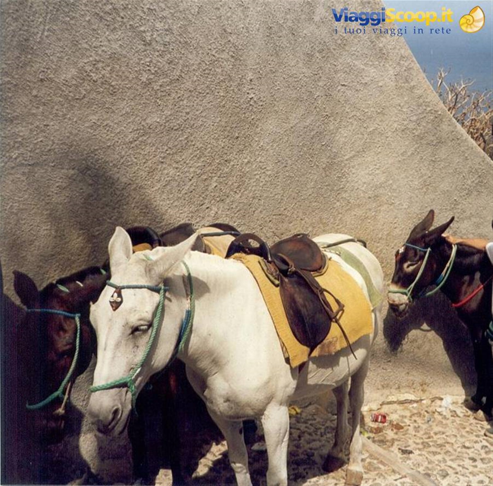 SANTORINI - DISCESA