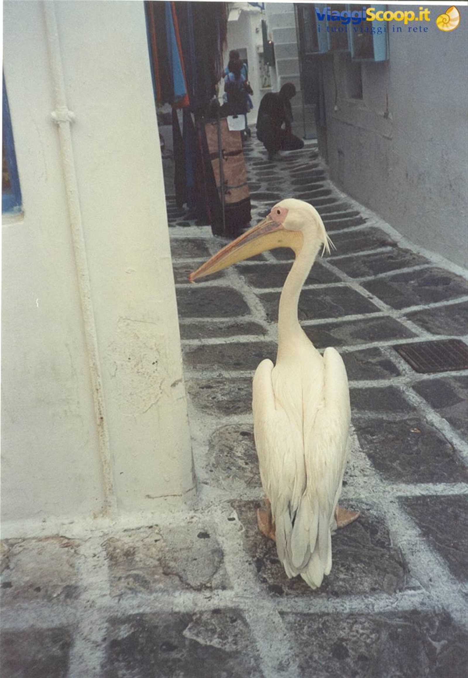 PATMOS - AMICO...