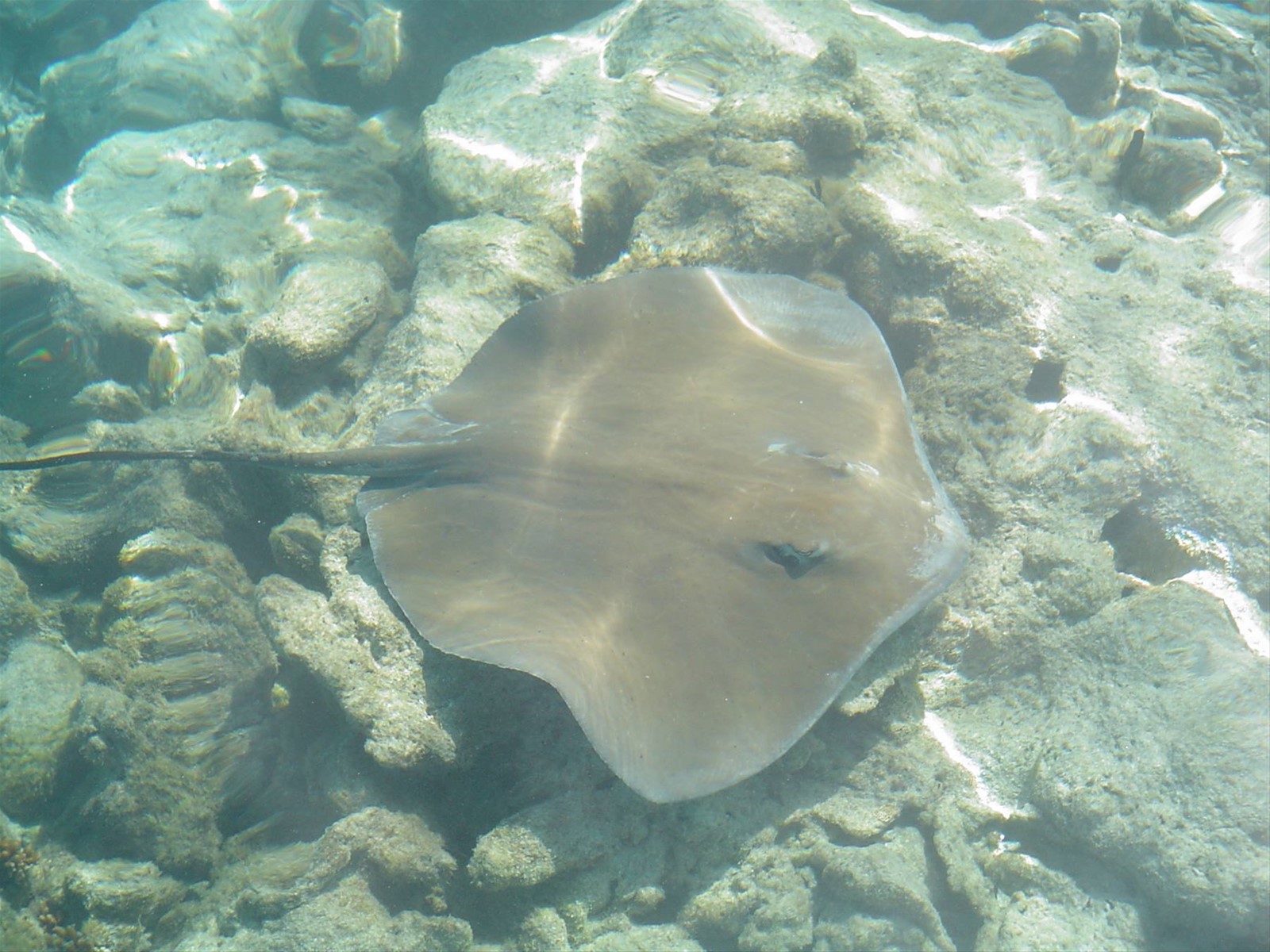 rangiroa