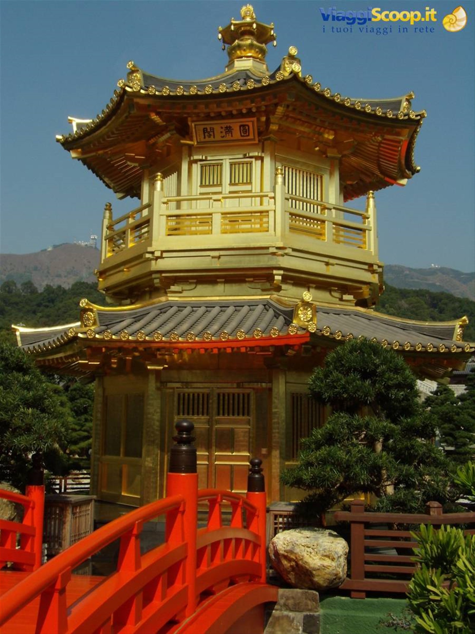 Hong Kong!