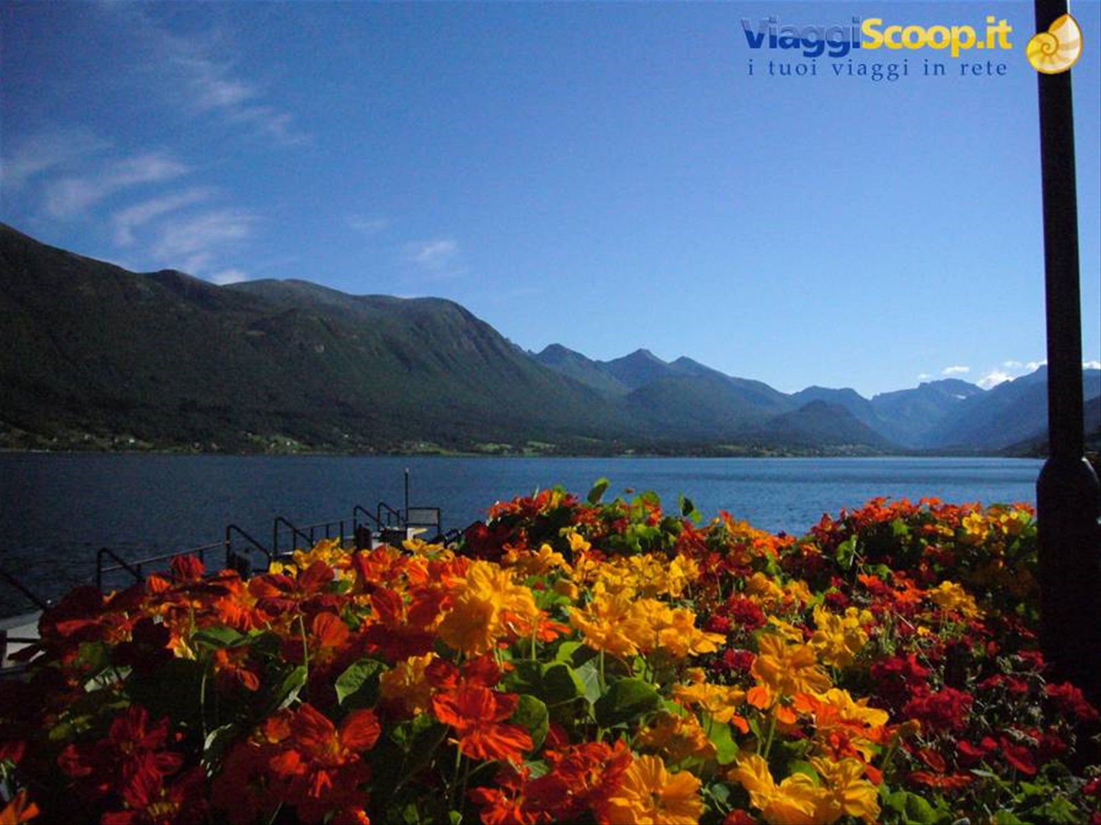 Norvegia