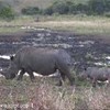 foto viaggio SUD AFRICA