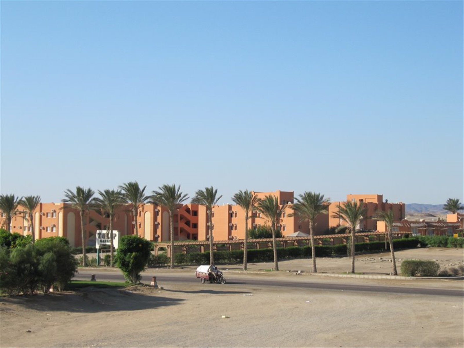 10 - Tulip Garden