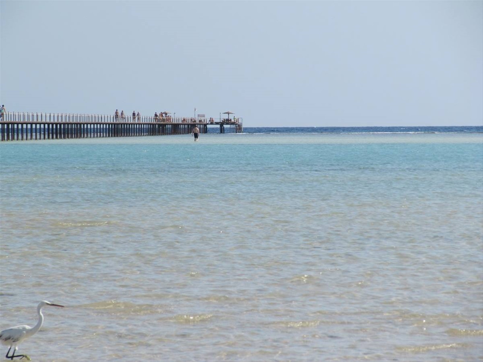 21 - pontile con airone