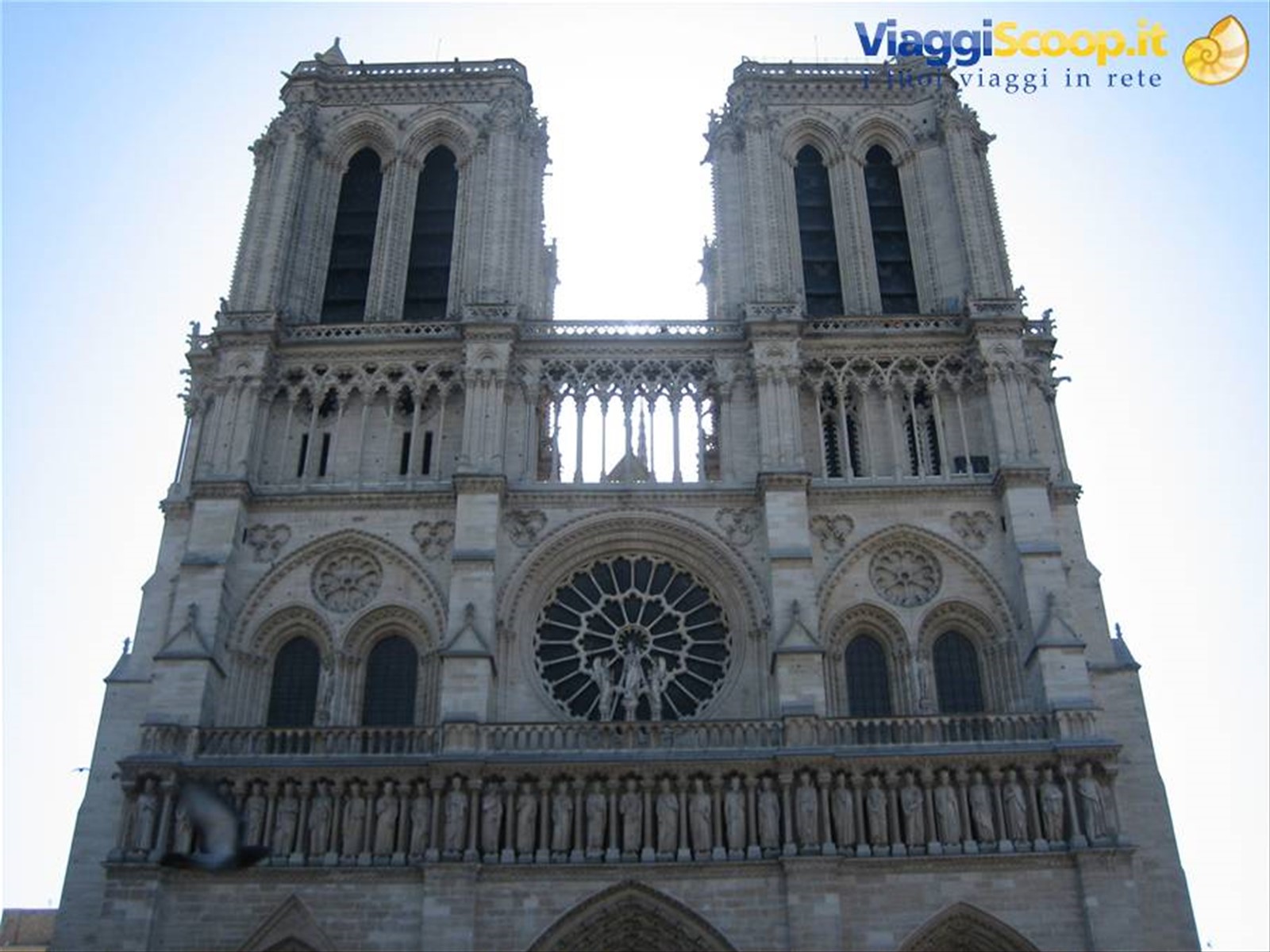 notre dame