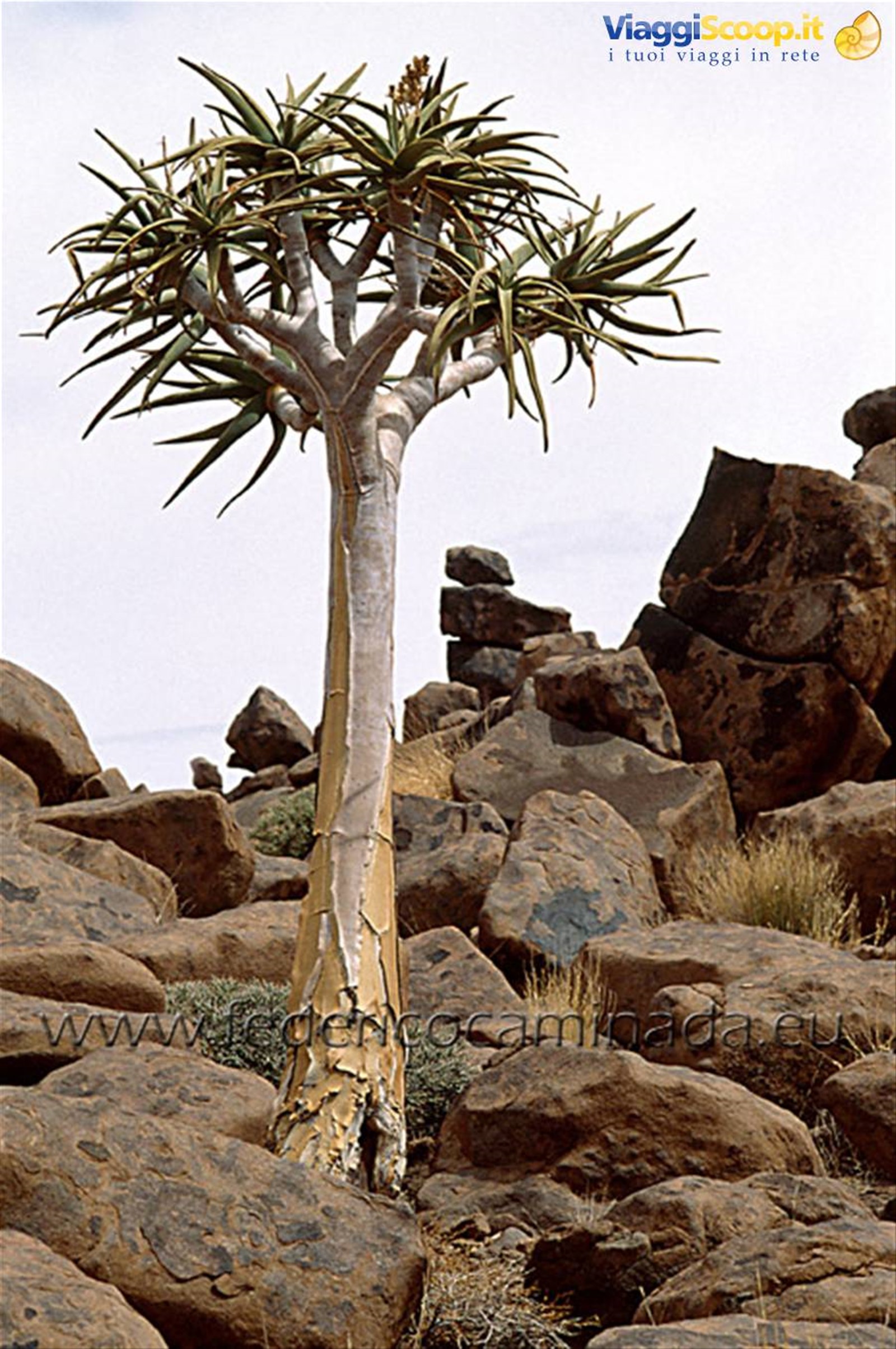Foto di viaggio in NAMIBIA