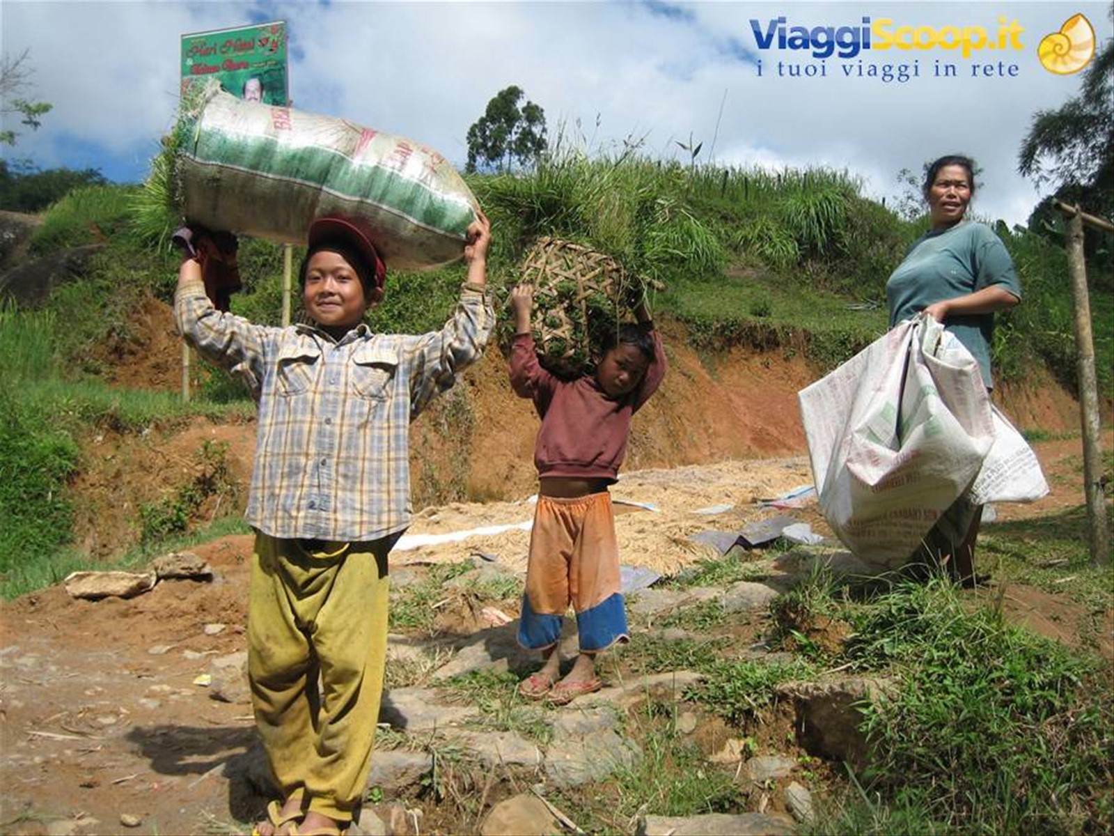 Bimbi Toraja