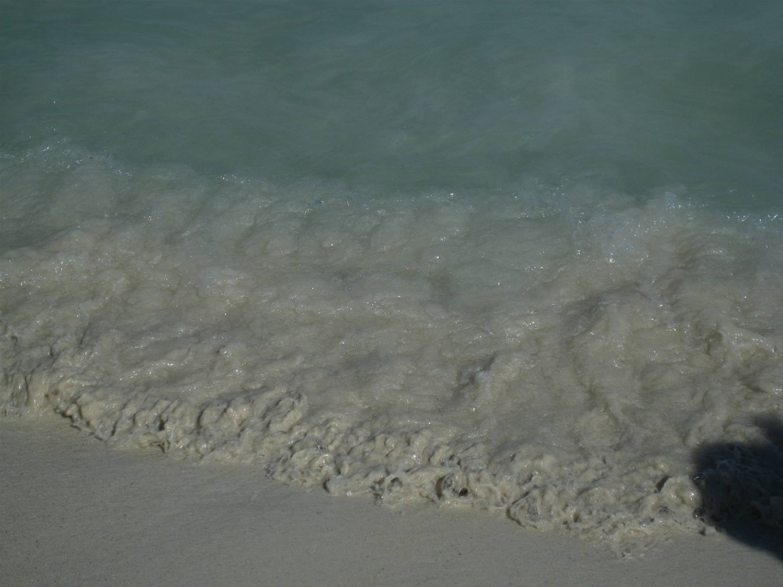 Foto di viaggio in ARUBA