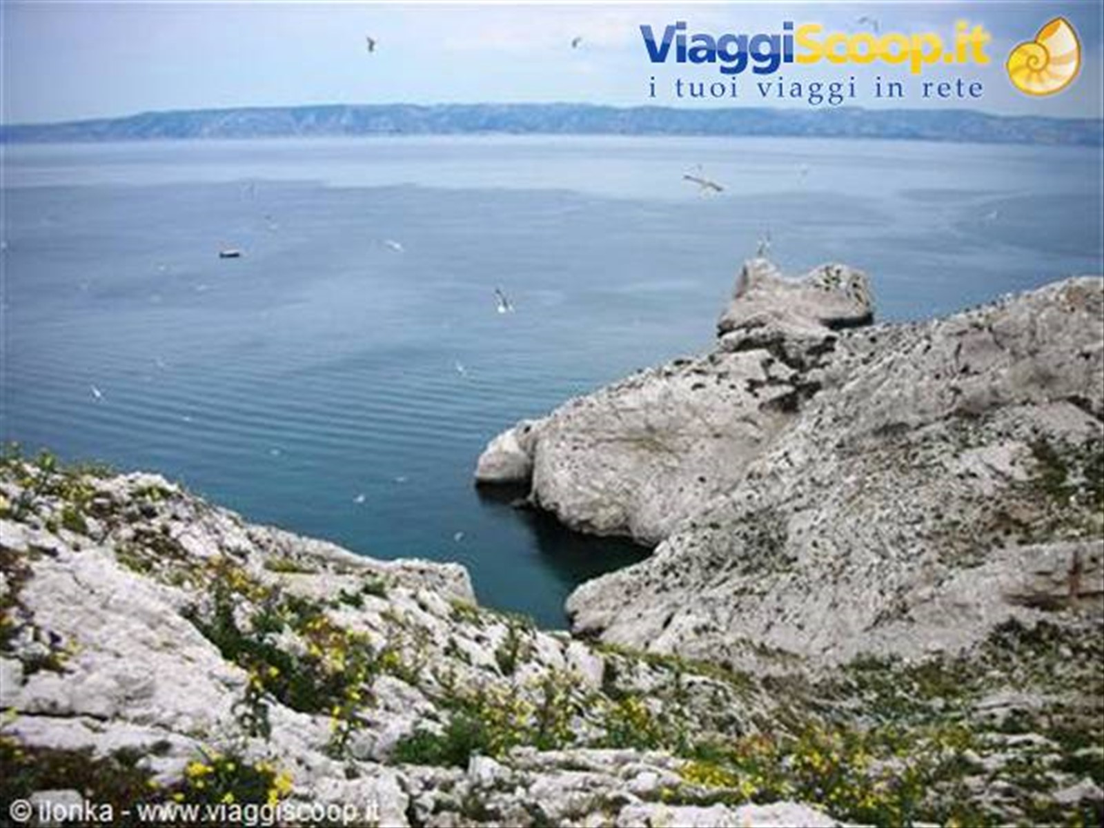 Foto di viaggio in FRANCIA