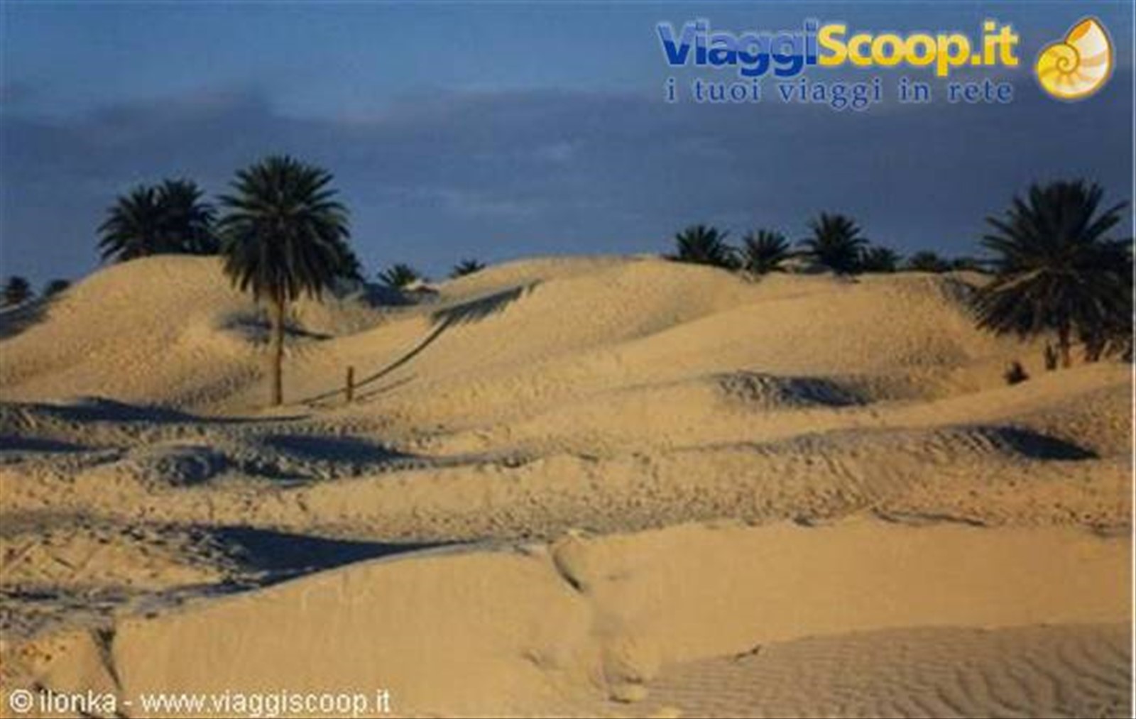 Foto di viaggio in TUNISIA