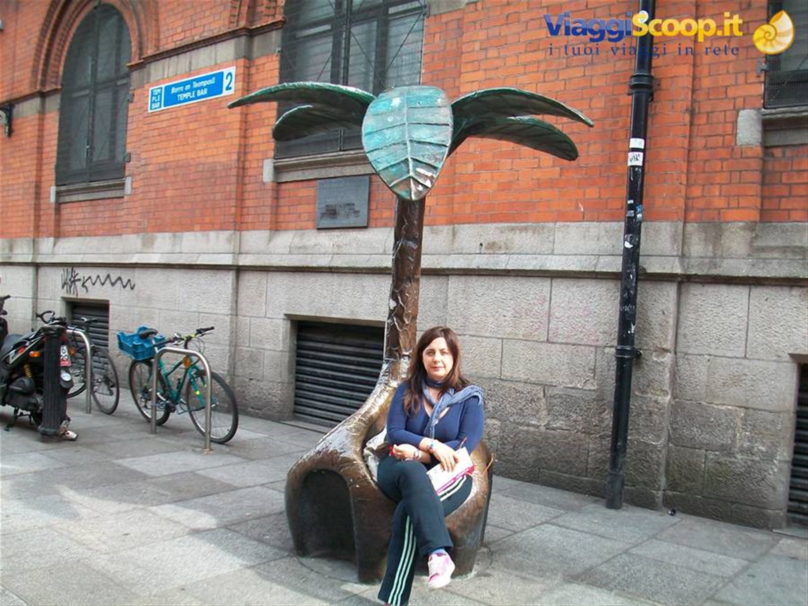 Sotto la palma di Temple Bar