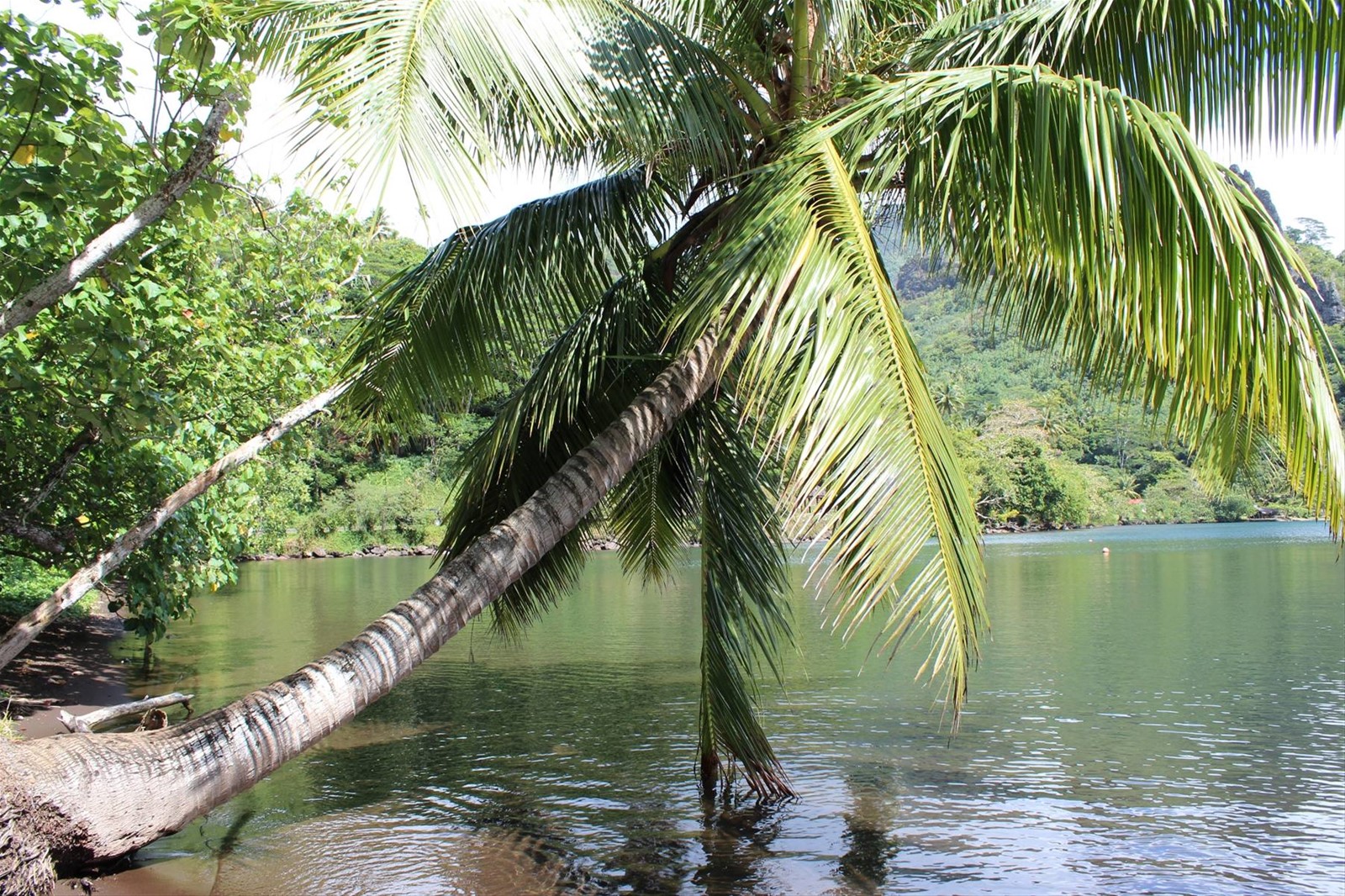 Baia di Opunohu