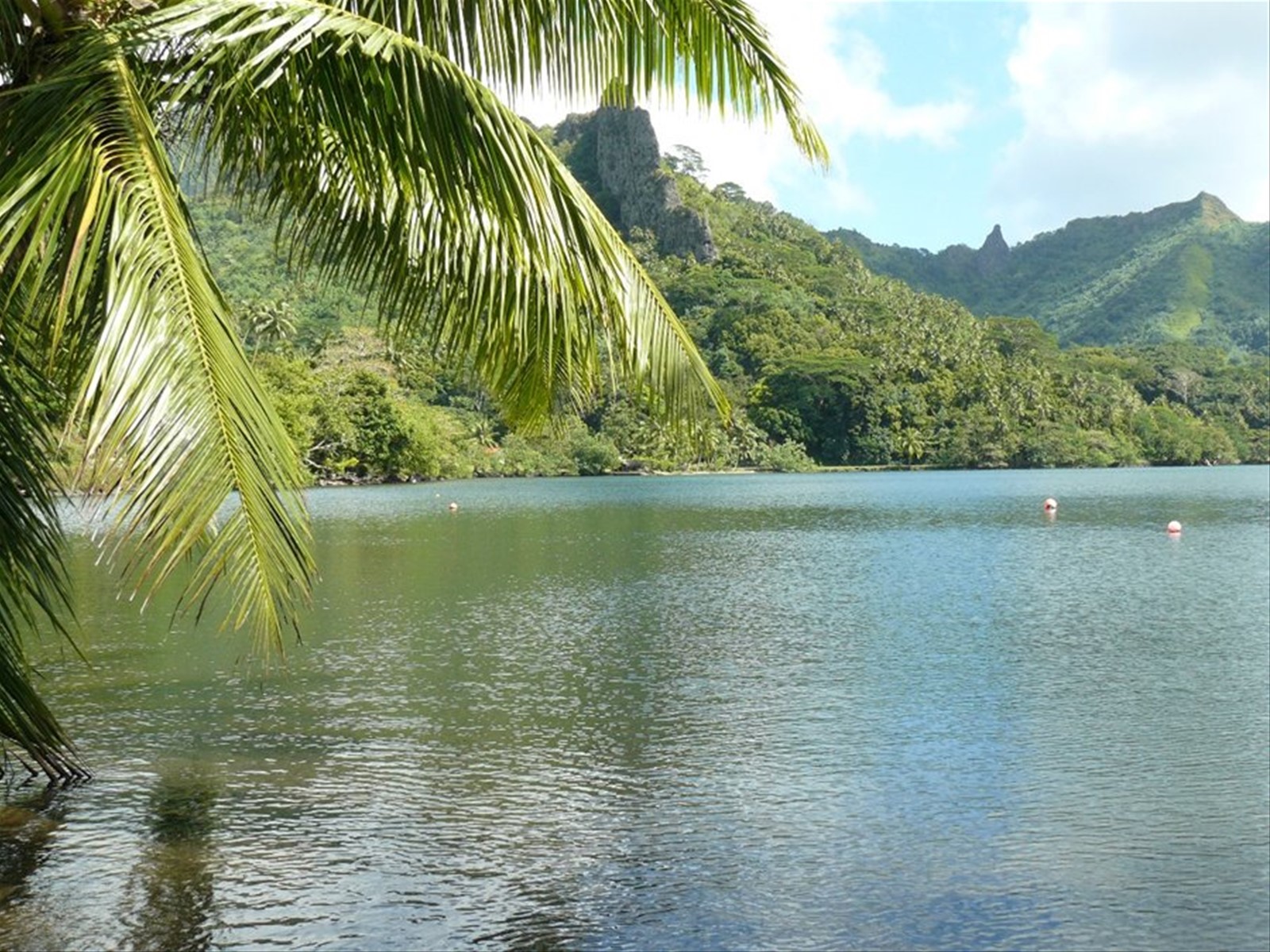 Baia di Opunohu