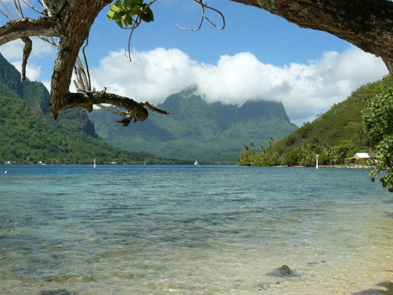 Baia di Oponohu
