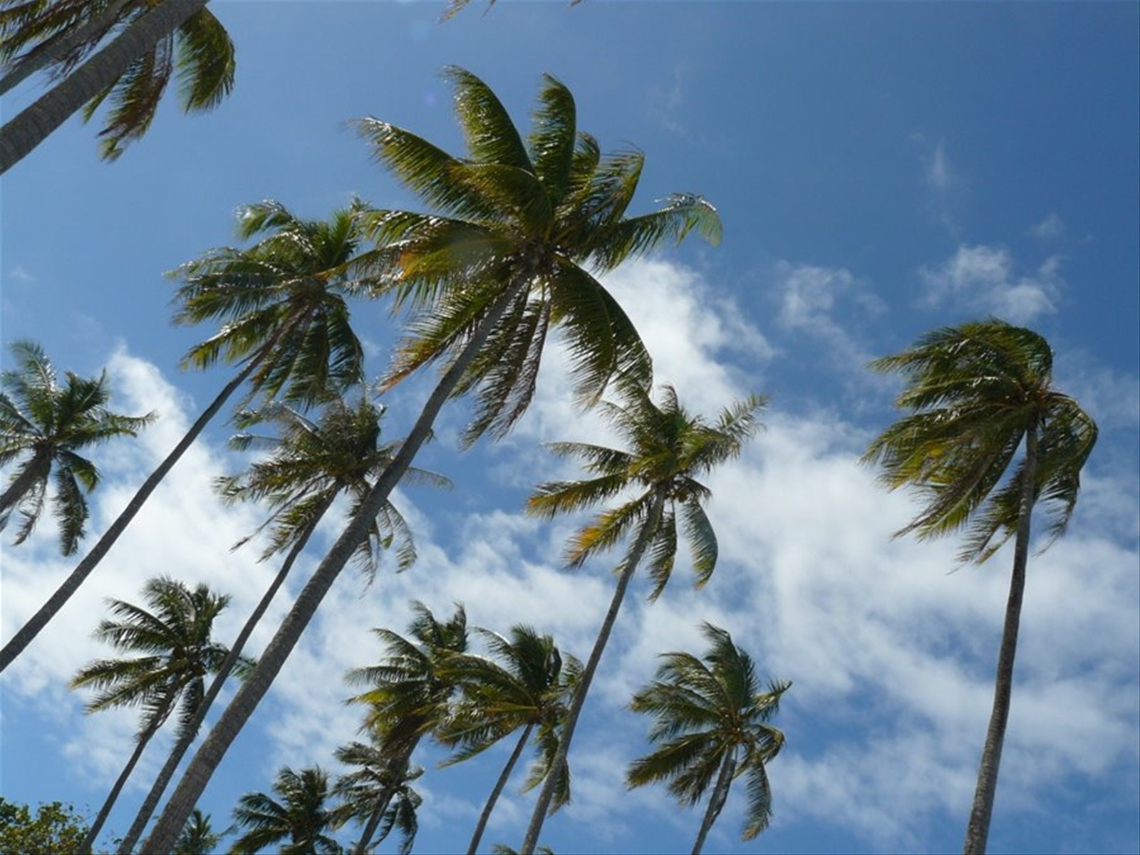 Temae Public Beach