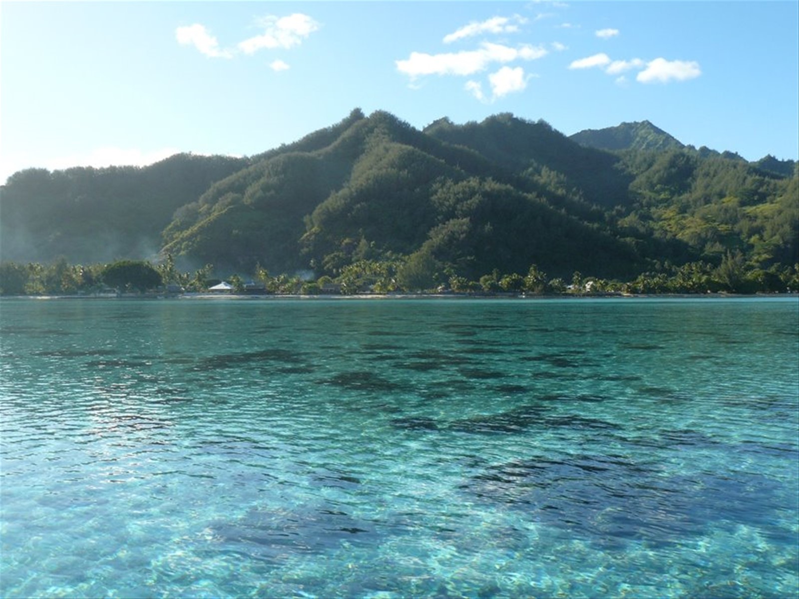 La costa di Moorea